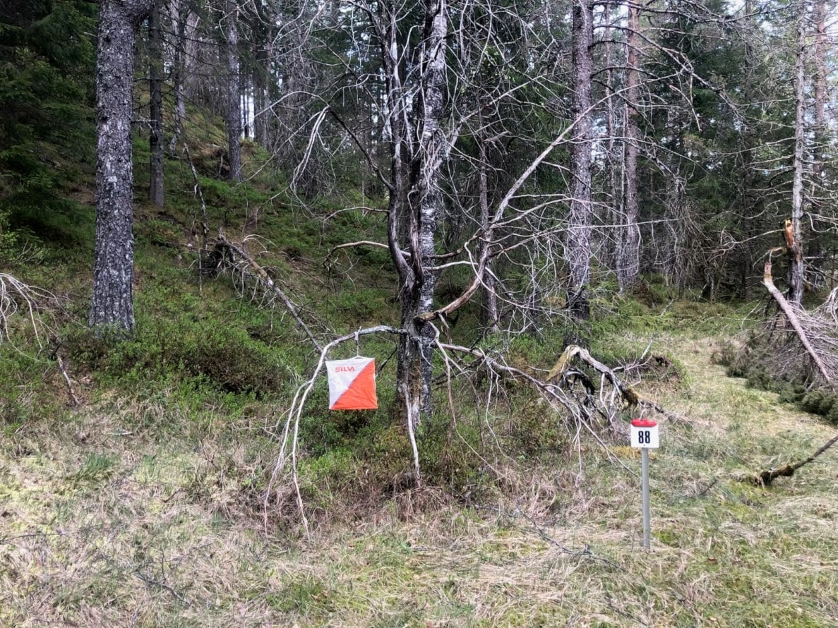 54 på nærløp Førde Vassverk
